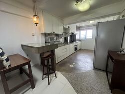 Blk 13 Holland Vista (Queenstown), HDB 3 Rooms #573695361